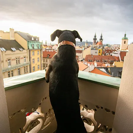 Ξενοδοχείο Paris Πράγα