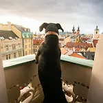 Szálloda Paris Prága