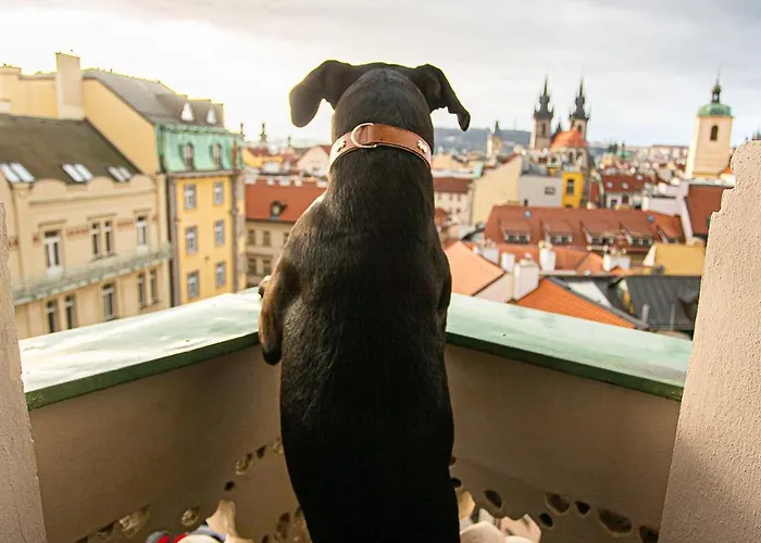 Hotel Paris Praga